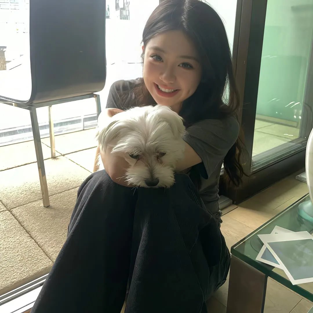 美女与盗贼 封面